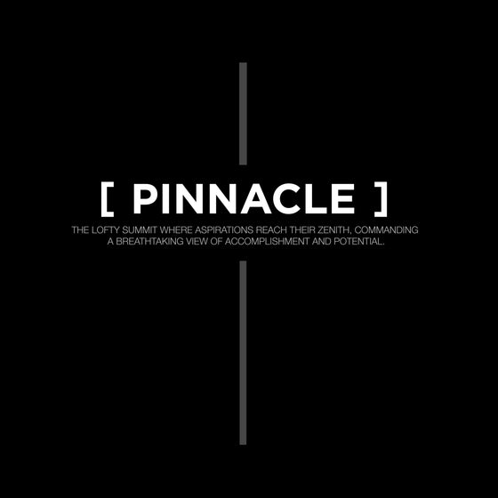 [CROSSWORDS] PINNACLE (Unisex t-shirt)