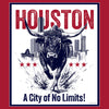 [CITYFAN] HOUSTON 001 (Unisex t-shirt)