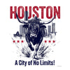 [CITYFAN] HOUSTON 01 (Unisex t-shirt)