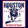 [CITYFAN] HOUSTON 002 (Unisex t-shirt)