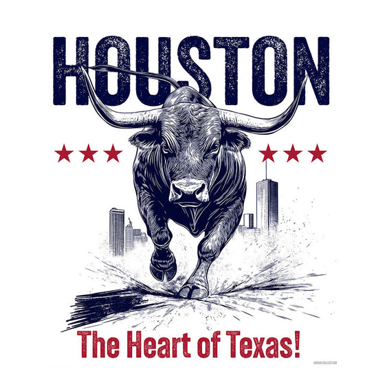 [CITYFAN] HOUSTON 02 (Unisex t-shirt)