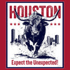 [CITYFAN] HOUSTON 003 (Unisex Hoodie)