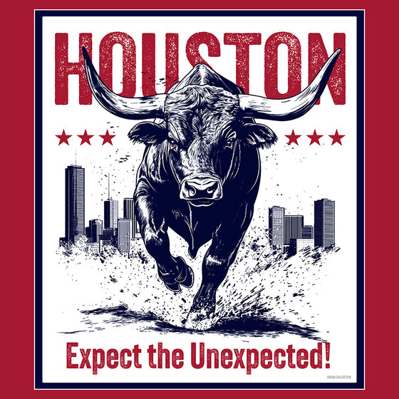 [CITYFAN] HOUSTON 003 (Unisex Hoodie)