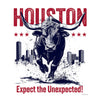 [CITYFAN] HOUSTON 03 (Unisex Hoodie)