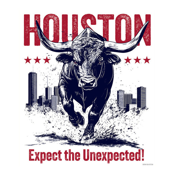 [CITYFAN] HOUSTON 03 (Unisex t-shirt)