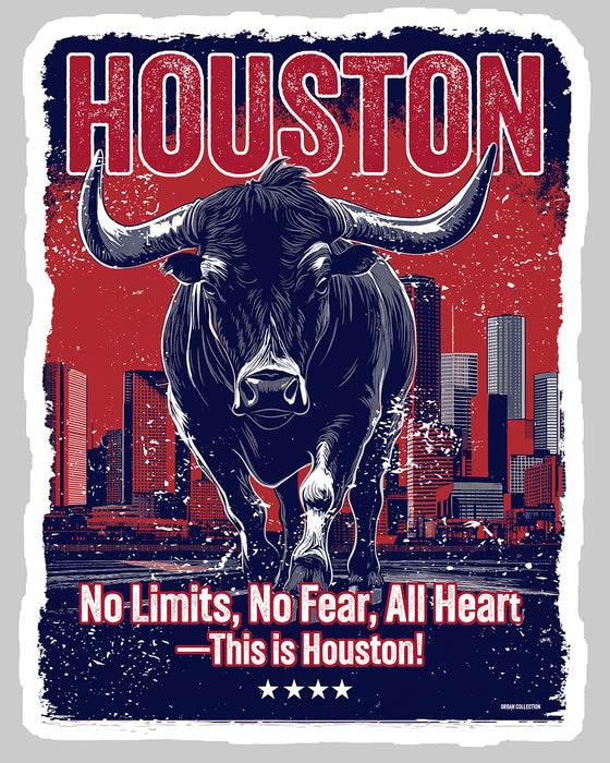 [CITYFAN] HOUSTON 1 (Unisex t-shirt)