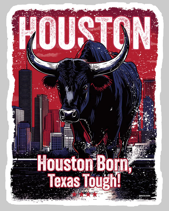 [CITYFAN] HOUSTON 2 (Unisex Hoodie)