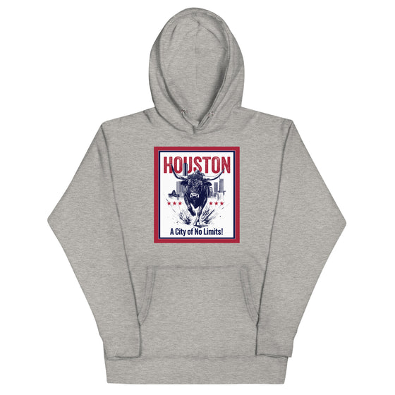 [CITYFAN] HOUSTON 001 (Unisex Hoodie)