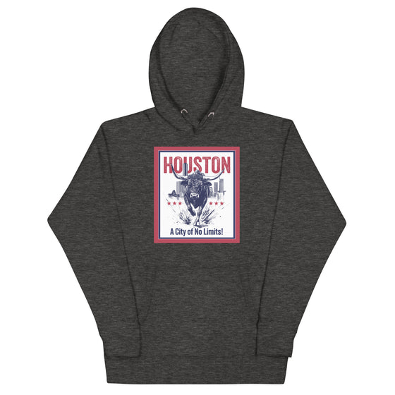 [CITYFAN] HOUSTON 001 (Unisex Hoodie)