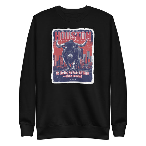 [CITYFAN] HOUSTON 1 (Unisex Premium Sweatshirt)