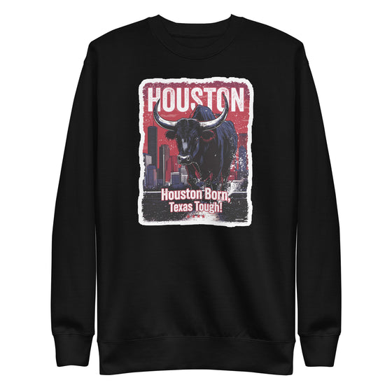 [CITYFAN] HOUSTON 2 (Unisex Premium Sweatshirt)