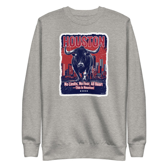 [CITYFAN] HOUSTON 1 (Unisex Premium Sweatshirt)