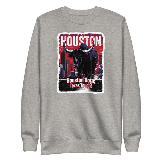 [CITYFAN] HOUSTON 2 (Unisex Premium Sweatshirt)