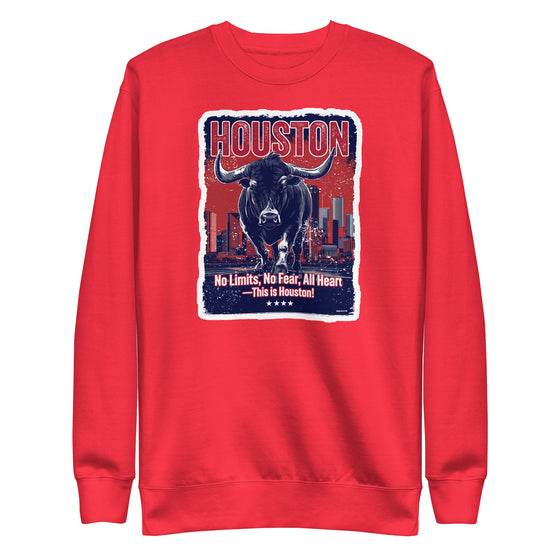 [CITYFAN] HOUSTON 1 (Unisex Premium Sweatshirt)