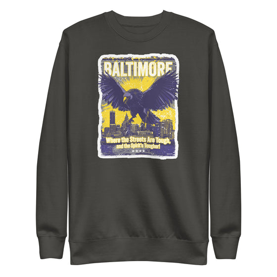 [CITYFAN] BALTIMORE 2 (Unisex Premium Sweatshirt)