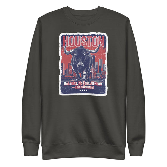 [CITYFAN] HOUSTON 1 (Unisex Premium Sweatshirt)