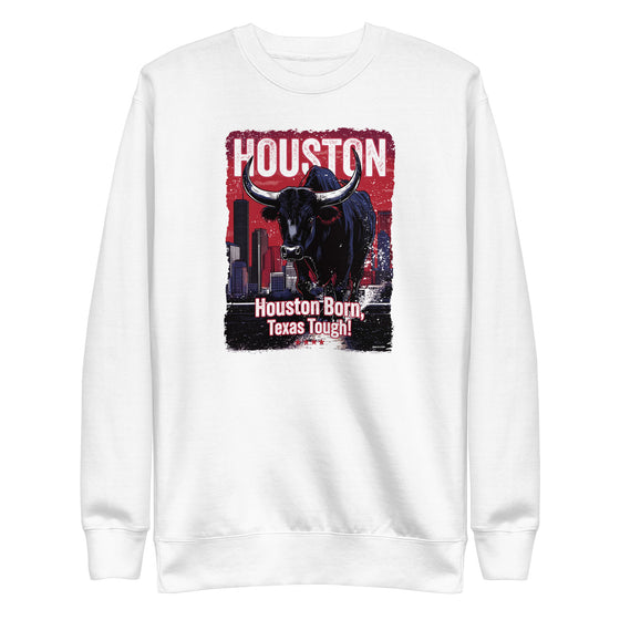 [CITYFAN] HOUSTON 2 (Unisex Premium Sweatshirt)