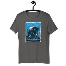  [CITYFAN] CAROLINA 2 (Unisex t-shirt) - [ORBAN COLLECTION]