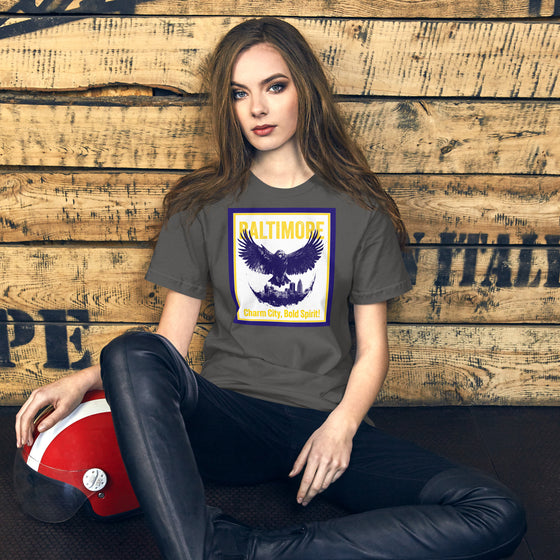 [CITYFAN] BALTIMORE 003 (Unisex t-shirt)